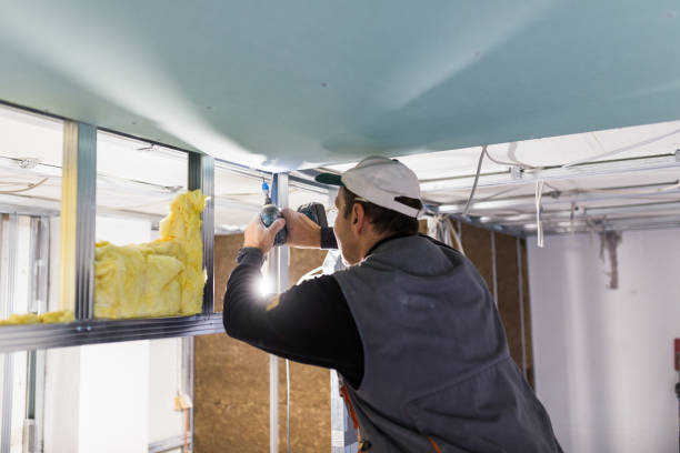 Best Insulation Installation Services in Golden Valley, MN