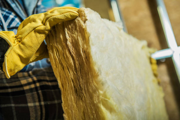 Best Residential Insulation in Golden Valley, MN